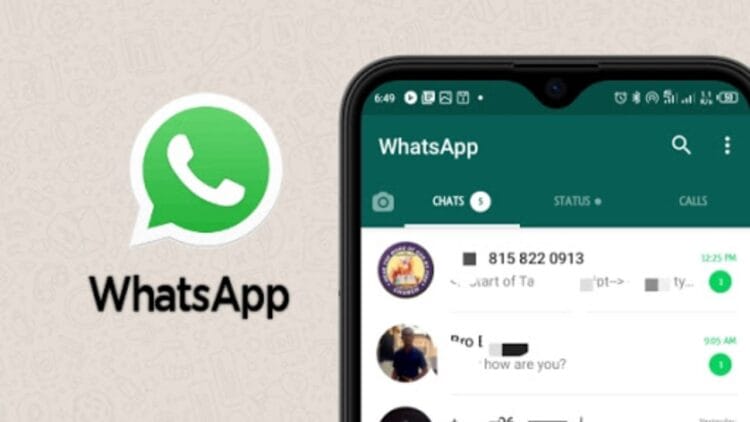 হোয়াটসঅ্যাপ দিয়েই পাঠানো যাবে টাকা