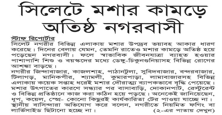 সিলেটে মশার কামড়ে অতিষ্ঠ নগরবাসী