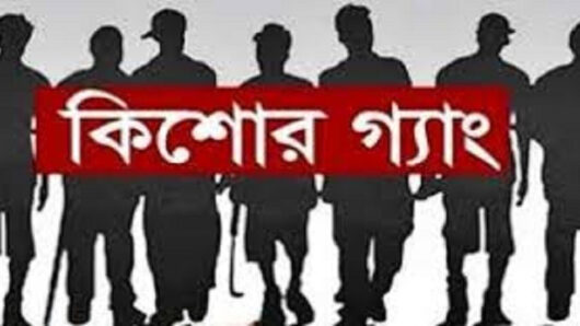 সিলেটে ‘অবসর প্রাপ্ত মাফিয়া’ কিশোর গ্যাংয়ের ৯ সদস্য আটক
