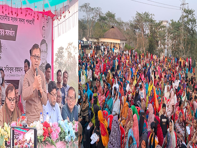 বিএনপি চেয়ারম্যান তারেক রহমান দেশে ফেরার পর থেকে সারাদেশে গণজোয়ার সৃষ্টি মনোনীত প্রার্থী: খন্দকার আব্দুল মুক্তাদির
