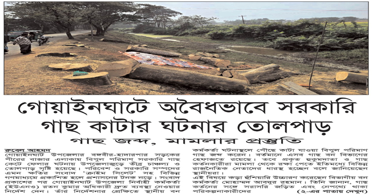 গোয়াইনঘাটে অবৈধভাবে সরকারি গাছ কাটার ঘটনার তোলপাড়
