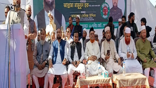 বিপুল সংখ্যাগরিষ্ঠতা নিয়ে ‘১১ দলীয় নির্বাচনী ঐক্য’ ক্ষমতায় আসবে ইনশাআল্লাহ
