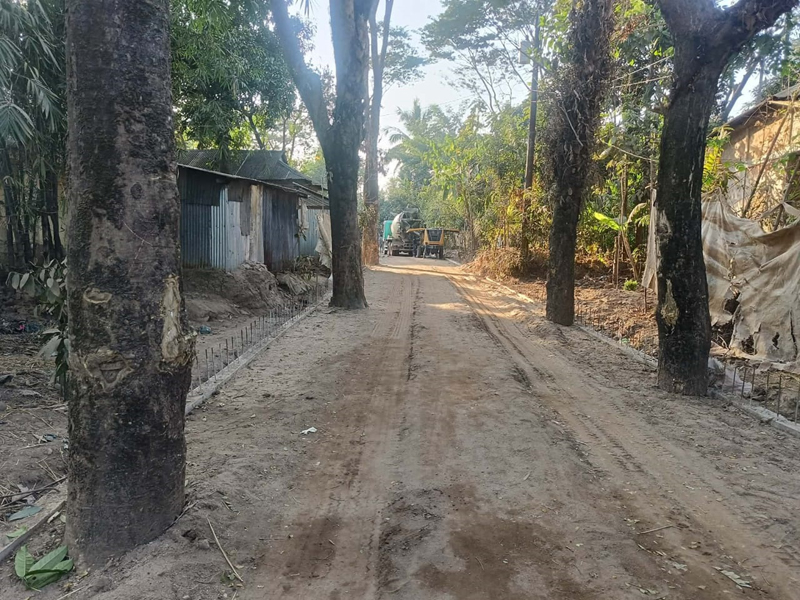 গোয়াইনঘাটে গাছের জন্য আটকে আছে রাস্তার উন্নয়ন কাজ