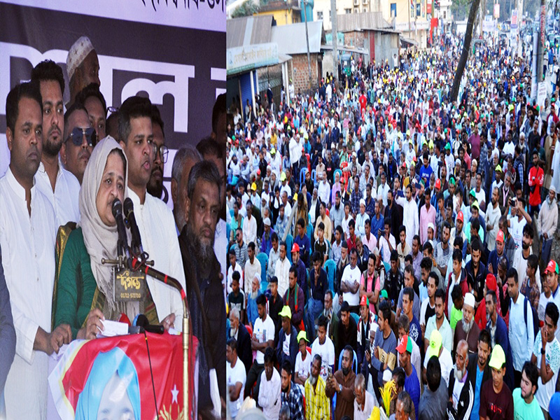 ধানের শীষে একটি ভোট বদলে দিবে ইতিহাস: তাহসিনা রুশদীর লুনা
