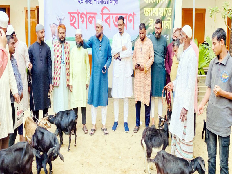জামায়াত যাকাতভিত্তিক অর্থব্যবস্থার মাধ্যমে দারিদ্রমূক্ত স্বনির্ভর জাতি গঠন করতে চায় : মুহাম্মদ ফখরুল ইসলাম