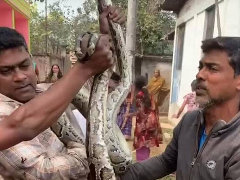 শ্রীমঙ্গলে বসতঘরের ছাদে ১০ ফুটের অজগর আতঙ্ক ছাপিয়ে প্রাণ বাঁচালেন সজল দেব