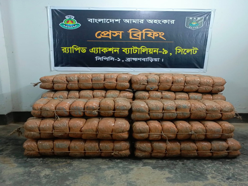 ১৯৬ কেজি গাঁজা উদ্ধার পলাতক রাজিবসহ ৪০ জন