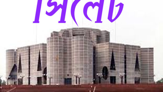 প্রথমবার সংসদে সিলেটের ১৬ নতুন মুখ