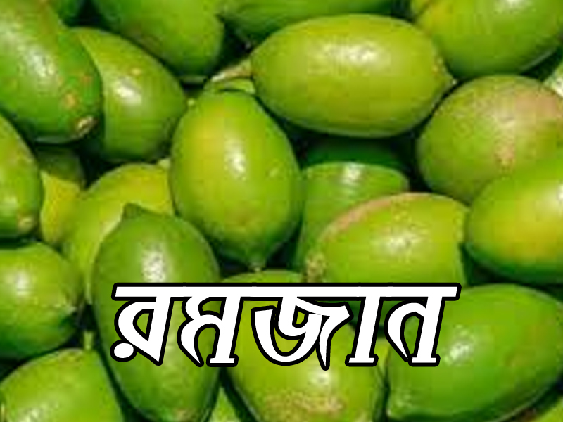 রমজানের আগেই সিলেটে লেবুতে আগুন