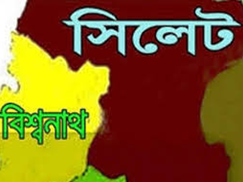 বিশ্বনাথে ভ্রাম্যমাণ আদালতের অভিযান, জরিমানা