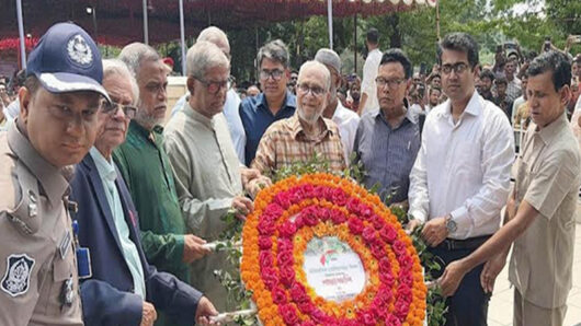 মুক্তিযুদ্ধের চেতনা ধারণ করে দেশ গড়তে হবে: মির্জা ফখরুল