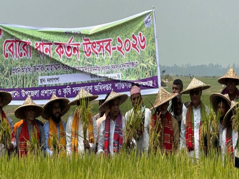 সুনামগঞ্জে বোরো ধান কর্তন উৎসব