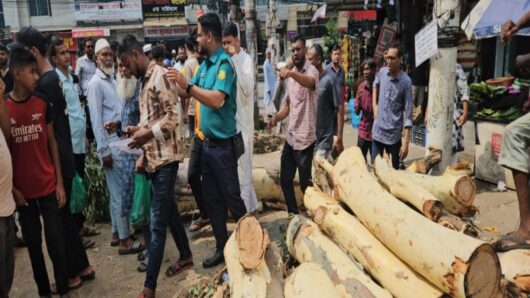 উপশহরে টেন্ডারের বাইরে গাছ নিধন আটক ৪ অভিযুক্তকে রহস্যজনকভাবে ছেড়ে দিল পুলিশ