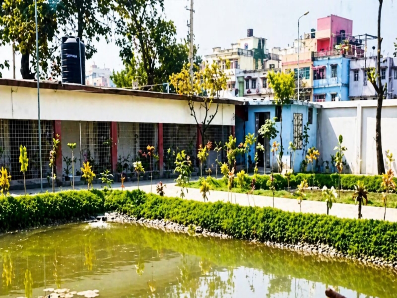 রোটারি ক্লাবের উদ্যোগে জরাজীর্ণ প্রাথমিক বিদ্যালয়ের নবজাগরণ