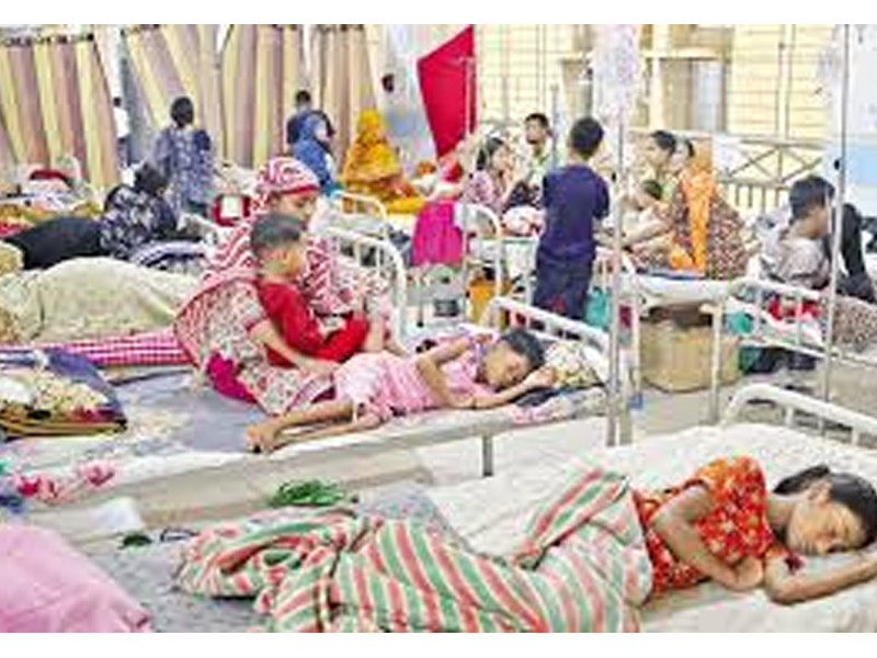 হামের উপসর্গ নিয়ে সিলেটের ১৭ হাসপাতালে ১০৩ জন ভর্তি