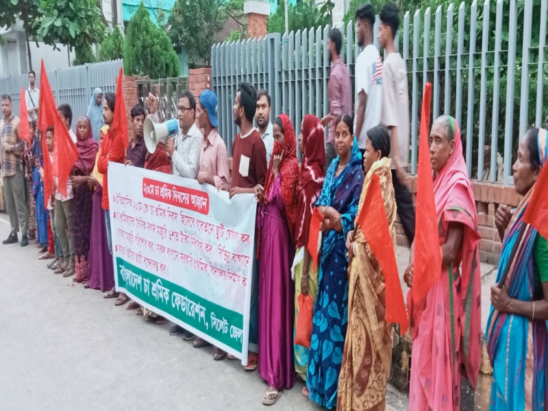 বাংলাদেশ চা শ্রমিক ফেডারেশন চা শ্রমিকদের দৈনিক নগদ মজুরি  ৬ শত টাকা নির্ধারণ করুন