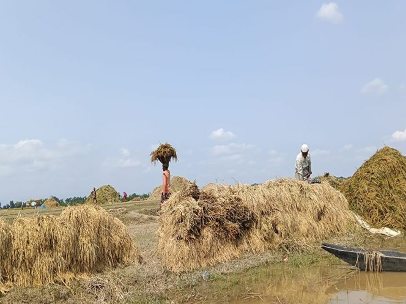 হাওড়জুড়ে এখন উদ্বেগ আর হতাশার চিত্র