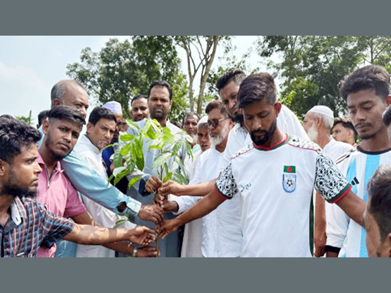 ওসমানীনগরে বৃক্ষরোপণ কর্মসূচির উদ্বোধন করলেন আবরার ইলিয়াস