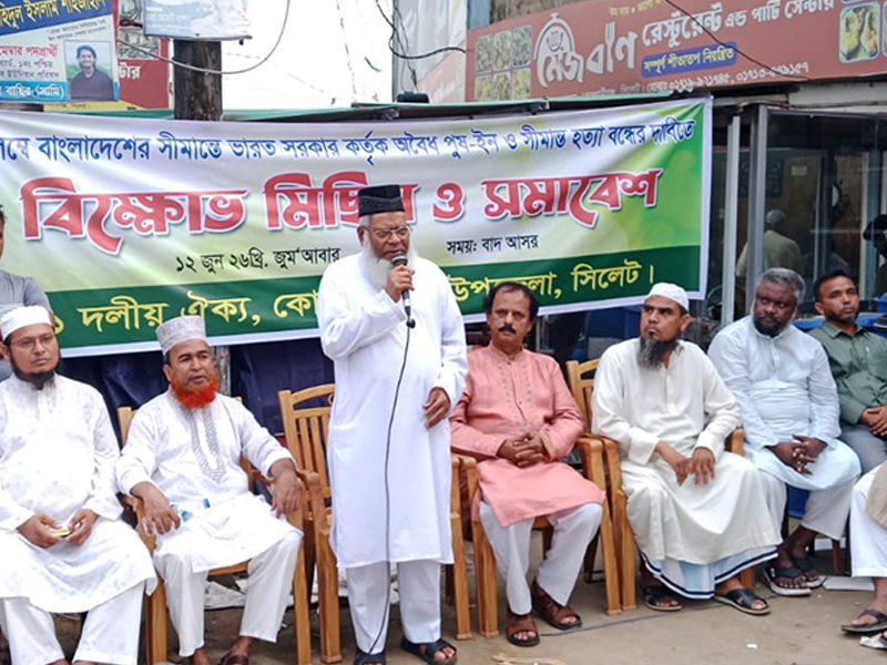 পুশইন ও সীমান্ত হত্যার প্রতিবাদে ৬ উপজেলায় ১১ দলীয় ঐক্যের বিক্ষোভ