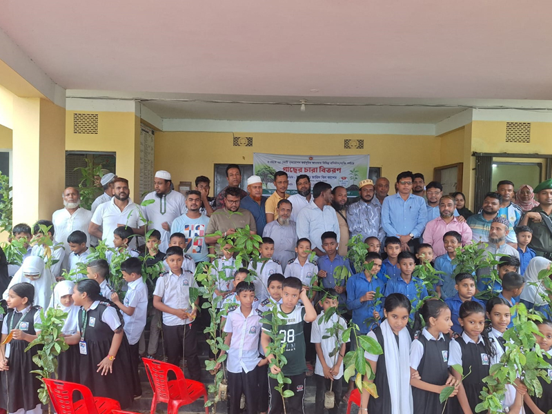 বিশ্বনাথের দশপাইকা মাদ্রাসায় গাছের চারা বিতরণ