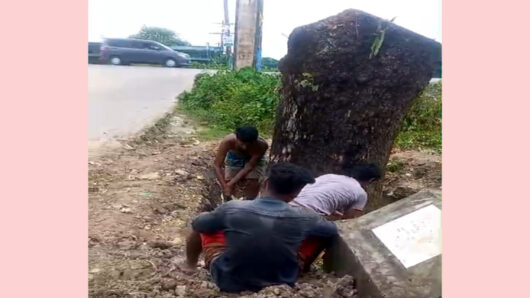 ইউএনও’র নাম ভাঙিয়ে সিলেট-ঢাকা মহাসড়কে সরকারি গাছ কাটার অভিযোগ, তদন্তে প্রশাসন