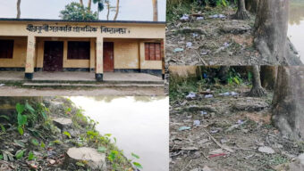 সরকারি বিদ্যালয়ের ৫০ হাজার টাকার গাছ উধাও