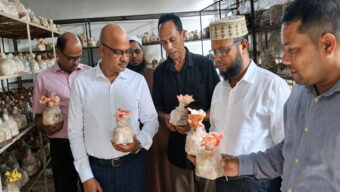 মাশরুম চাষী সৈয়দুর রহমানের প্রকল্প পরিদর্শনে পরিকল্পনা মন্ত্রণালয়ের উপসচিব