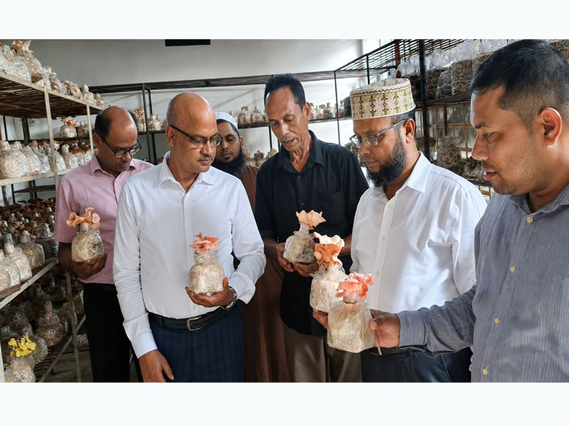 মাশরুম চাষী সৈয়দুর রহমানের প্রকল্প পরিদর্শনে পরিকল্পনা মন্ত্রণালয়ের উপসচিব