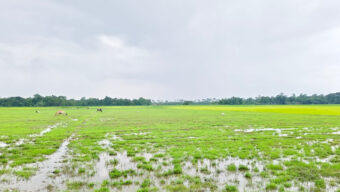 গোয়াইনঘাটে জমি দখল, হামলা ও প্রাণনাশের হুমকির অভিযোগে ৭ জনের বিরুদ্ধে আদালতে মামলা