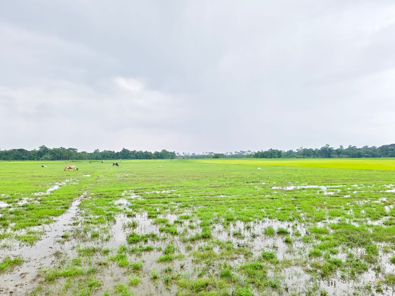 গোয়াইনঘাটে জমি দখল, হামলা ও প্রাণনাশের হুমকির অভিযোগে ৭ জনের বিরুদ্ধে আদালতে মামলা