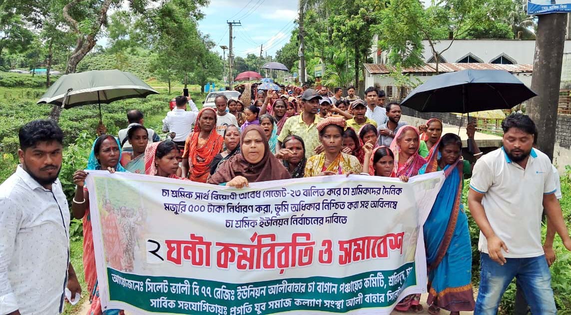 চা শ্রমিকদের ৫০০ টাকা মজুরিসহ ৪ দাবিতে সিলেটে কর্মবিরতি ও বিক্ষোভ