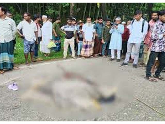 জাফলংয়ে বেড়াতে এসে বাসচাপায় মাদরাসাছাত্রী নিহত