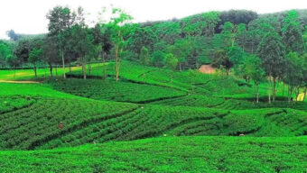 সম্ভাবনার সিলেট বাস্তবতায় পিছিয়ে