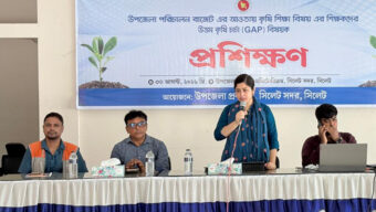 শিক্ষার্থীদের কৃষি ও নিরাপদ খাদ্যে আগ্রহী করতে ‘শিখন প্লট’ গুরুত্বপূর্ণ ভূমিকা রাখবে: ইউএনও খোশনুর রুবাইয়াৎ