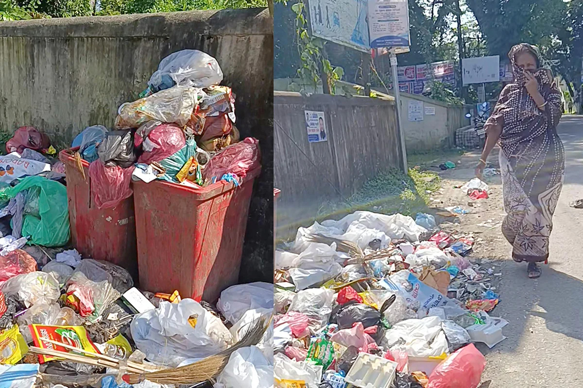 বিশ্বনাথ পৌরসভার বর্জ্য ব্যবস্থাপনায় হযবরল দশা