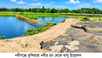 নবীগঞ্জে কুশিয়ারা নদীর চর থেকে বালু উত্তোলন ক্স ৩০ লাখ ঘনফুটের অনুমতির বিপরীতে অতিরিক্ত উত্তোলনের অভিযোগ, রাজস্ব ফাঁকির দাবি